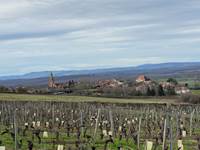 Gite-Etrigny-Lacourquinousrelie-vue village-Etrigny _view village-Etrigny