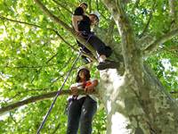 Escalade dans les arbres Pau Pyrénées 64 Sports Loisirs Outdoor