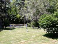 Vue du parc