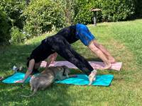 Seance yoga