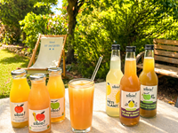 Nos Jus de Fruits SIBIO