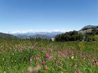 Le col d'auzet
