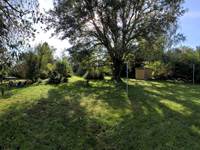 Le Jardin arboré