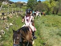 Equitation Tauriers