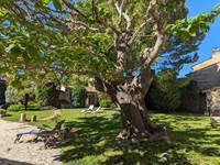 IMG-20240512-WA0021