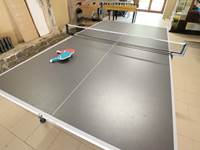 Table de ping-pong
