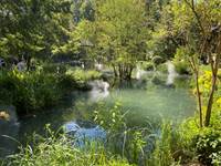 JARDIN DU CLOS LUCE