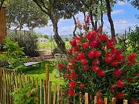 jardin vignes