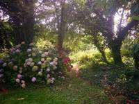 jardin