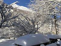Jardin d'hiver