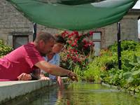 faune-aquatique-belge
