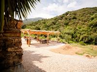 Pergola dans jardin