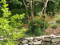 Mur en pierre typique du Quercy dans le jardin du gîte