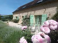 Les Volets Verts - roses