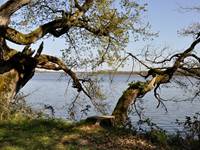 Paysage de Brenne
