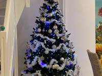 LE GRAND SAPIN