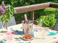 16_gite_l_ecureuil_namur_wepion_terrasse_champagne_fraises_2025.jpg