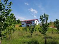 Vue depuis la plantation