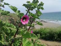 IMG_20240228_234542