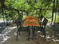 La terrasse sou glycine