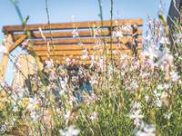 jardin-fleuri