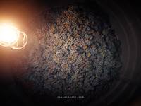 PIERRE & BERTRAND COULY - Nos cuves