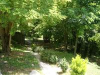 LA nature
