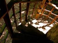 cabane dans les arbres