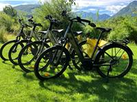 Location de vélos électriques