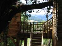 escalier cabane 1