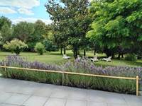 IMG_20240713_154608
