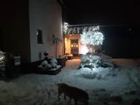 Magie de Noël et du nouvel-an