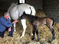 Pirouette Pierrefitte le jour de sa naissance