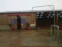 douche de l'écurie pour les chevaux