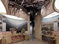 Musee de l'Argan - Taghazout Agadir SoussMassa - Biosphere