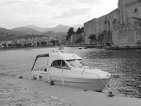 Nausica et chateau Royal