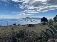L'étang de Thau, Sète