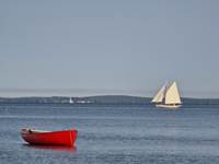 Poussé par le vent du Bassin d'Arcachon