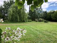 jardin arrière maison