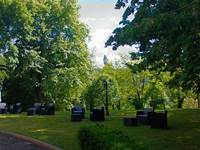 Détente dans le parc devant le Château