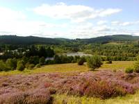 La lande du Puy La Croix avec vue sur le Lac