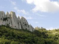 Les dentelles de Montmirail