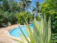 Piscine des locations Baobab et palmiers à l'étang-salé à la Réunion