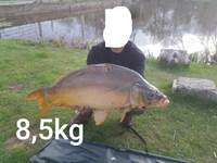carpe 8 kg 500
