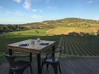 terrasse de mémé jeannette