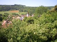 Vue