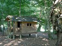 Cabane