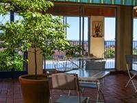 Patio verdoyant avec vue sur Collioure et la mer