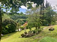 Grand jardin arboré du gîte avec piscine à Belvèze