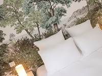 Chambre Pierres Vertes P